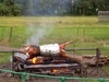 Roasted to a Turn (2012)