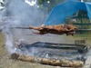 Rainy Roast (2008)